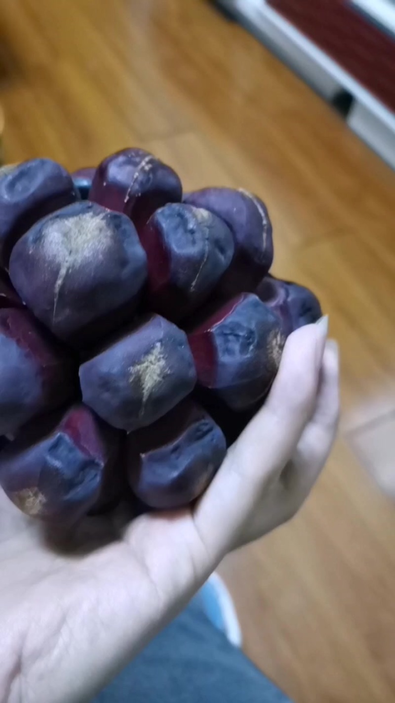 新鲜布福娜，健康美味，直供农场，快来尝鲜！