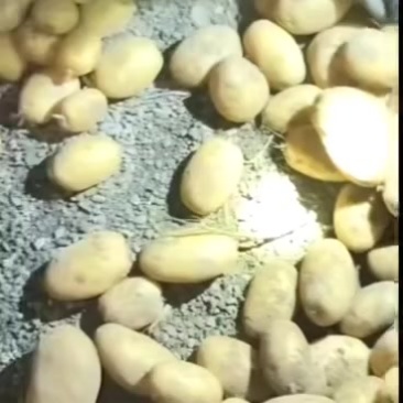 实验一