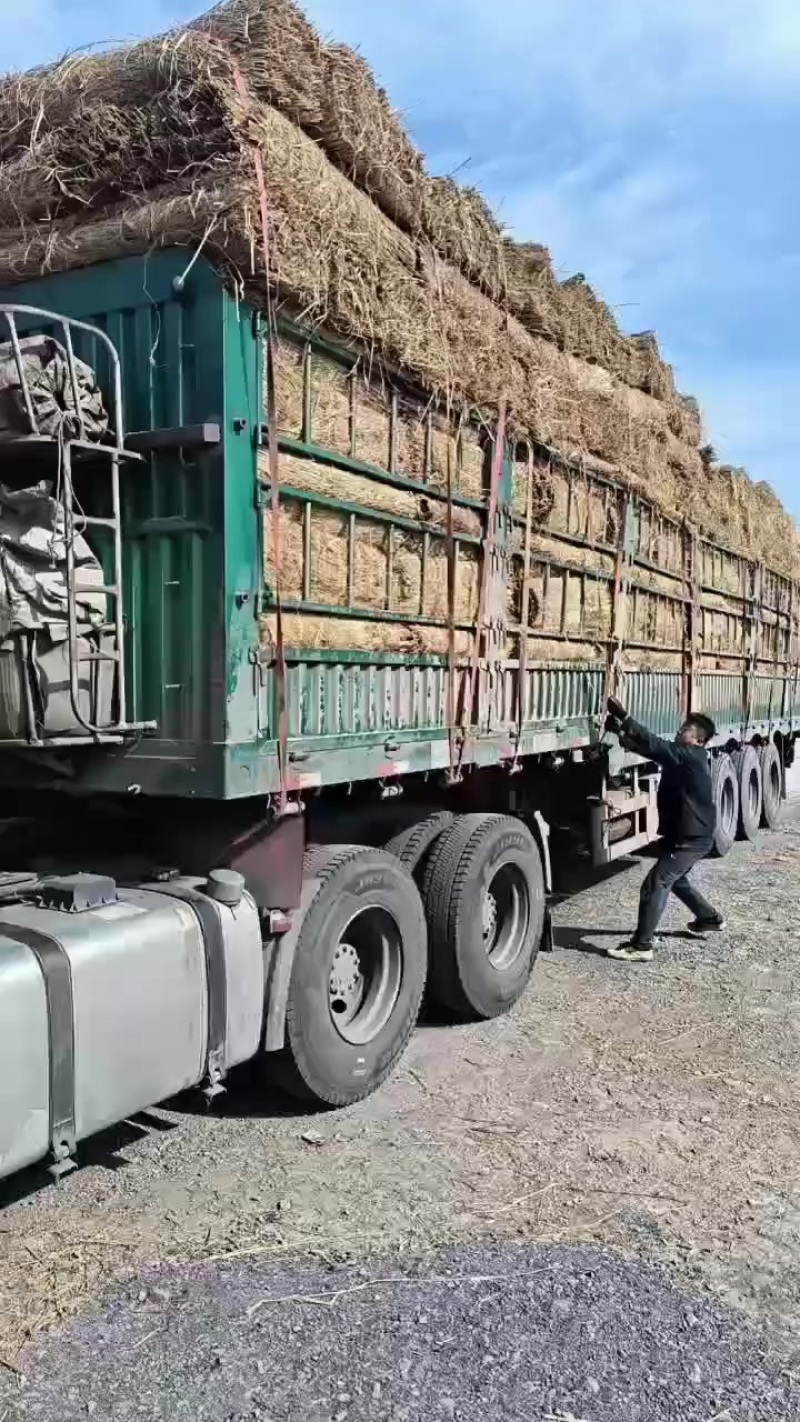 草苫