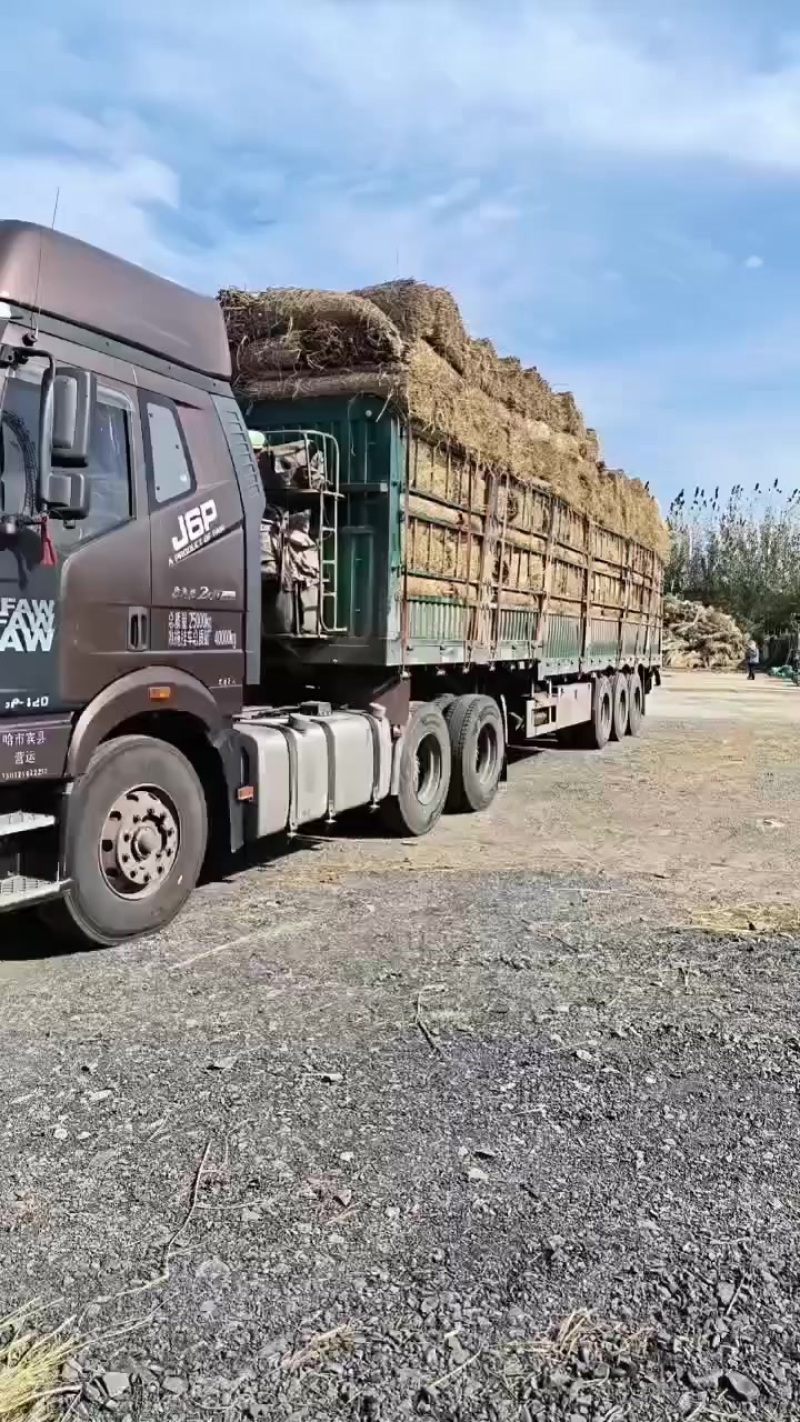 草苫