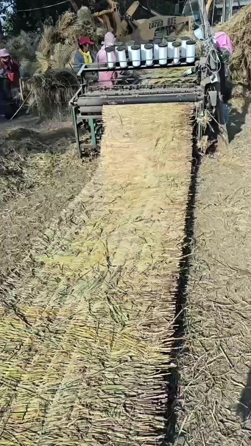 草苫
