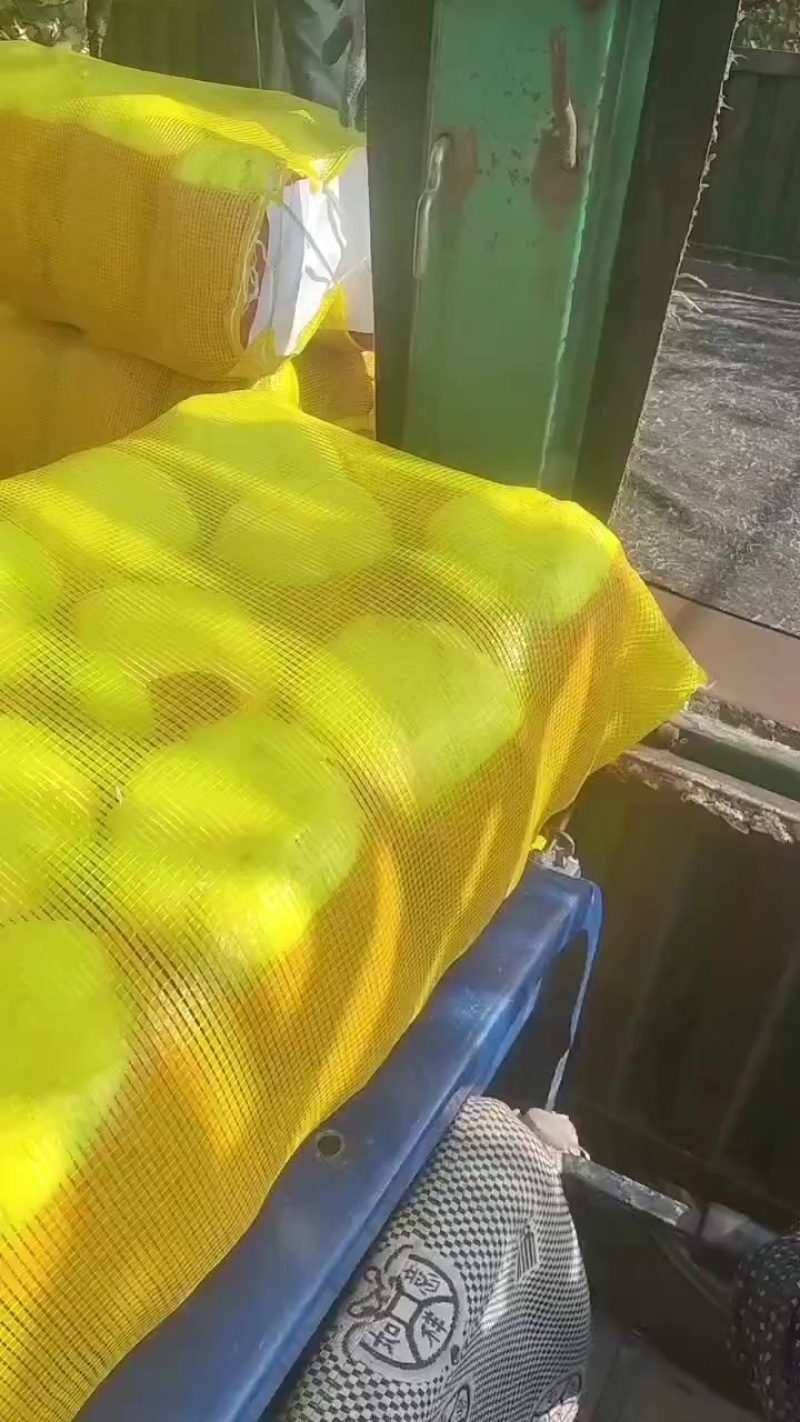 白菜