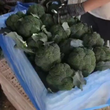 西兰花