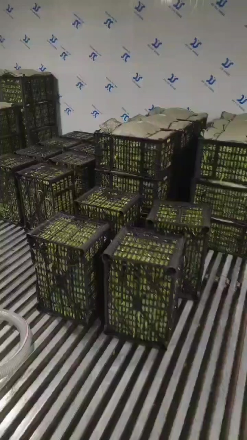 半青通菜
