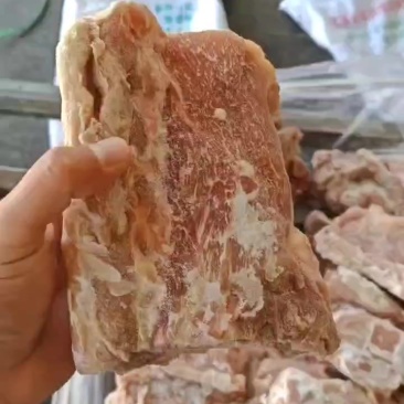 多肉龙骨段