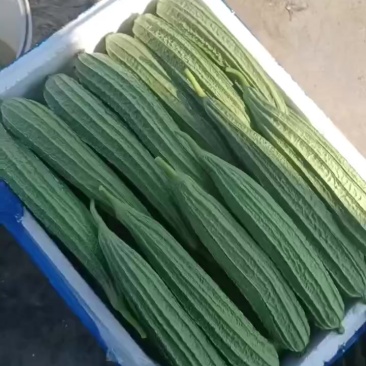 丝瓜