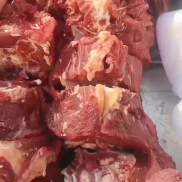 牛髓骨，牛尾骨