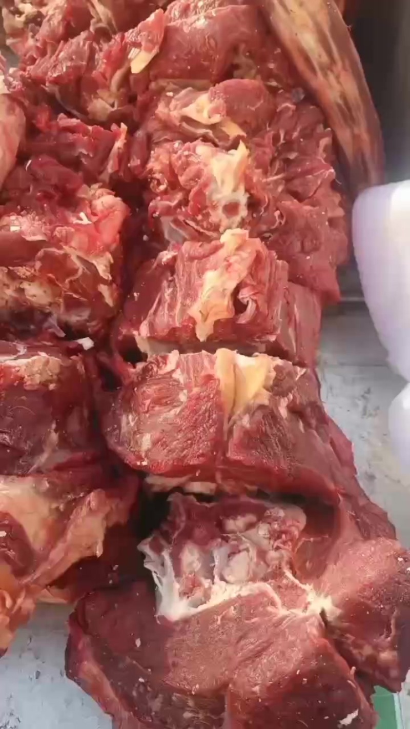 牛髓骨，牛尾骨