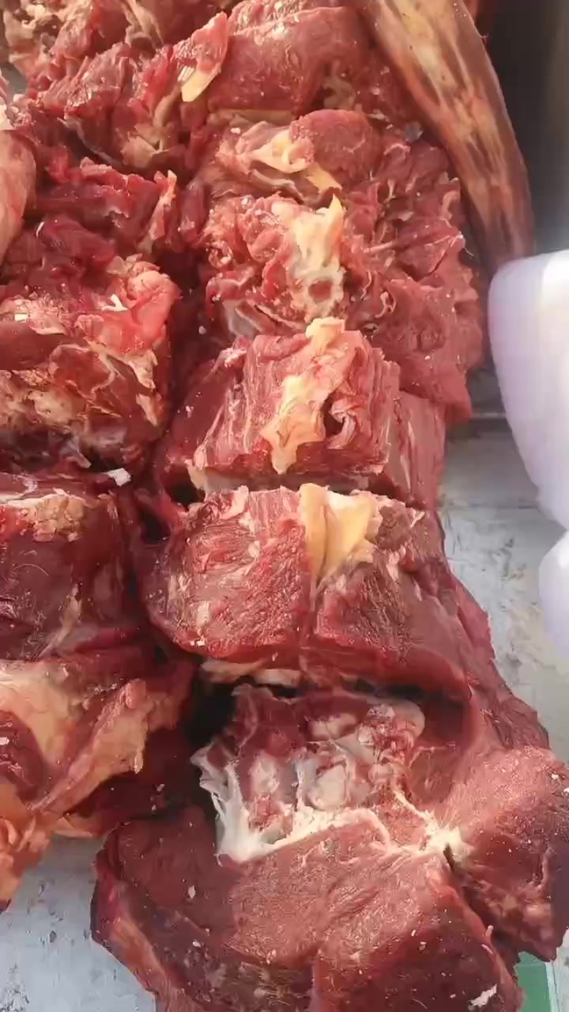 牛髓骨，牛尾骨