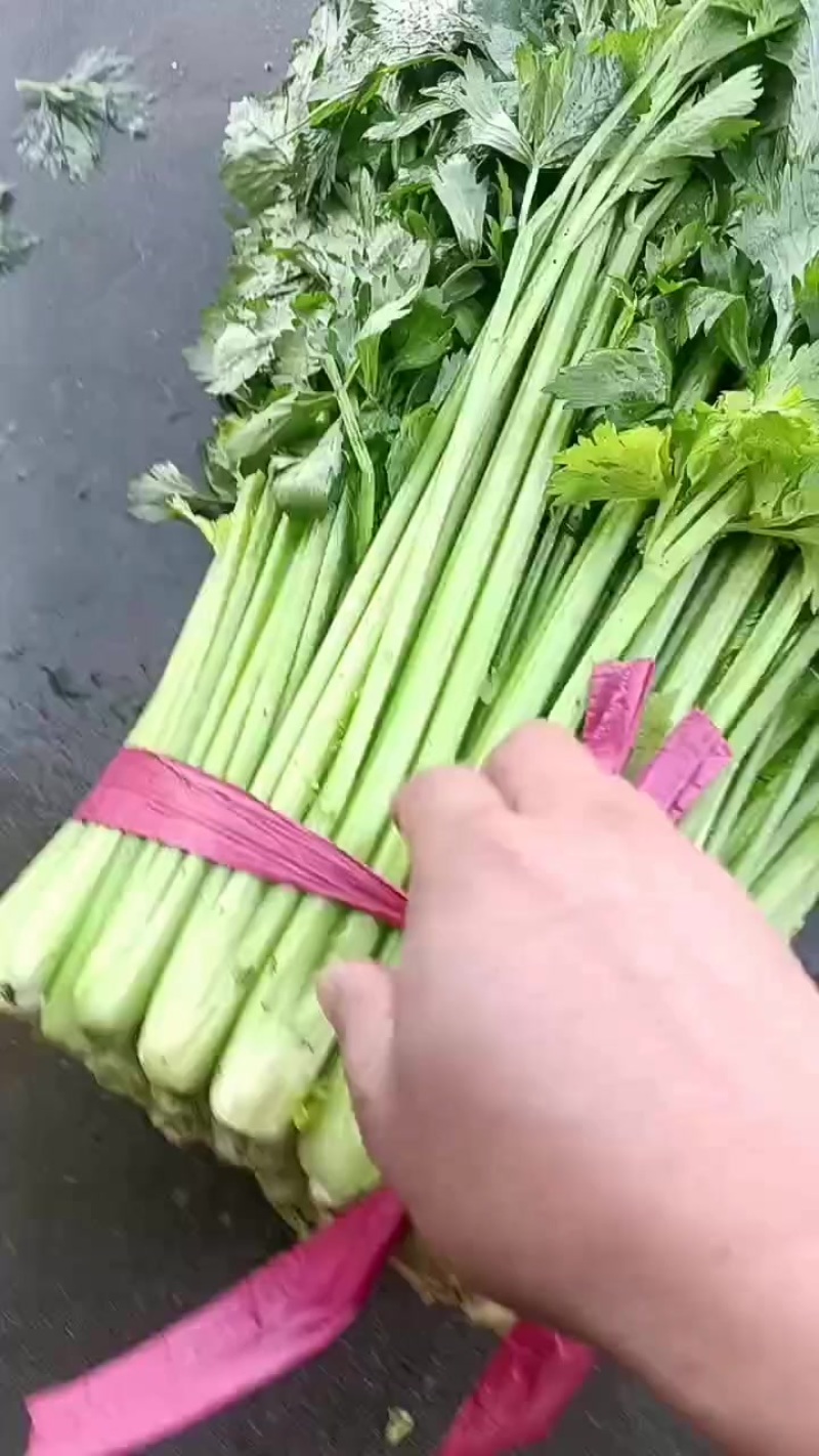 江苏省徐州市精品小颗芹菜大量上市
