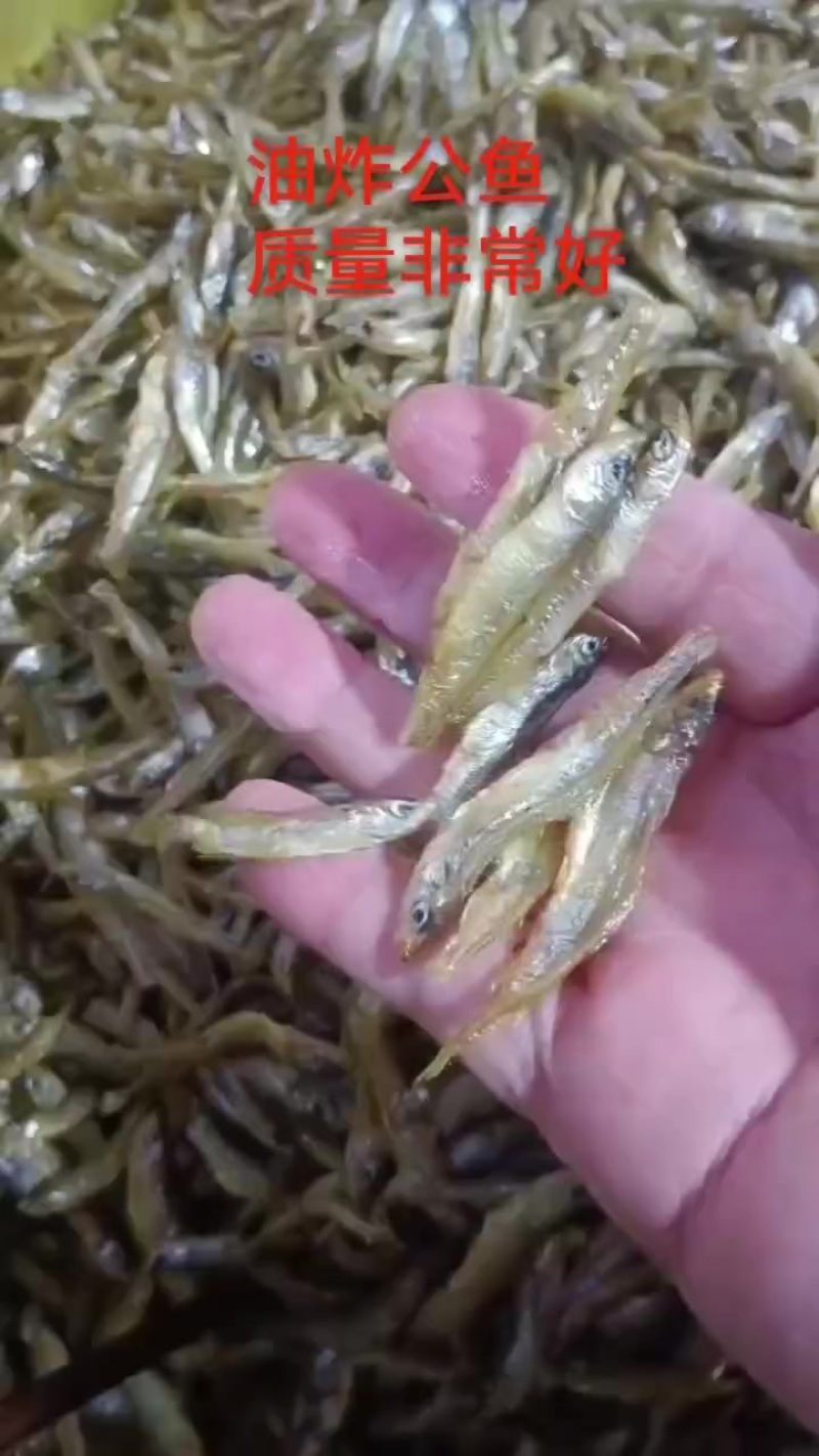 油炸公鱼