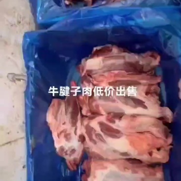 国产牛腱子一件50斤纯干质量好