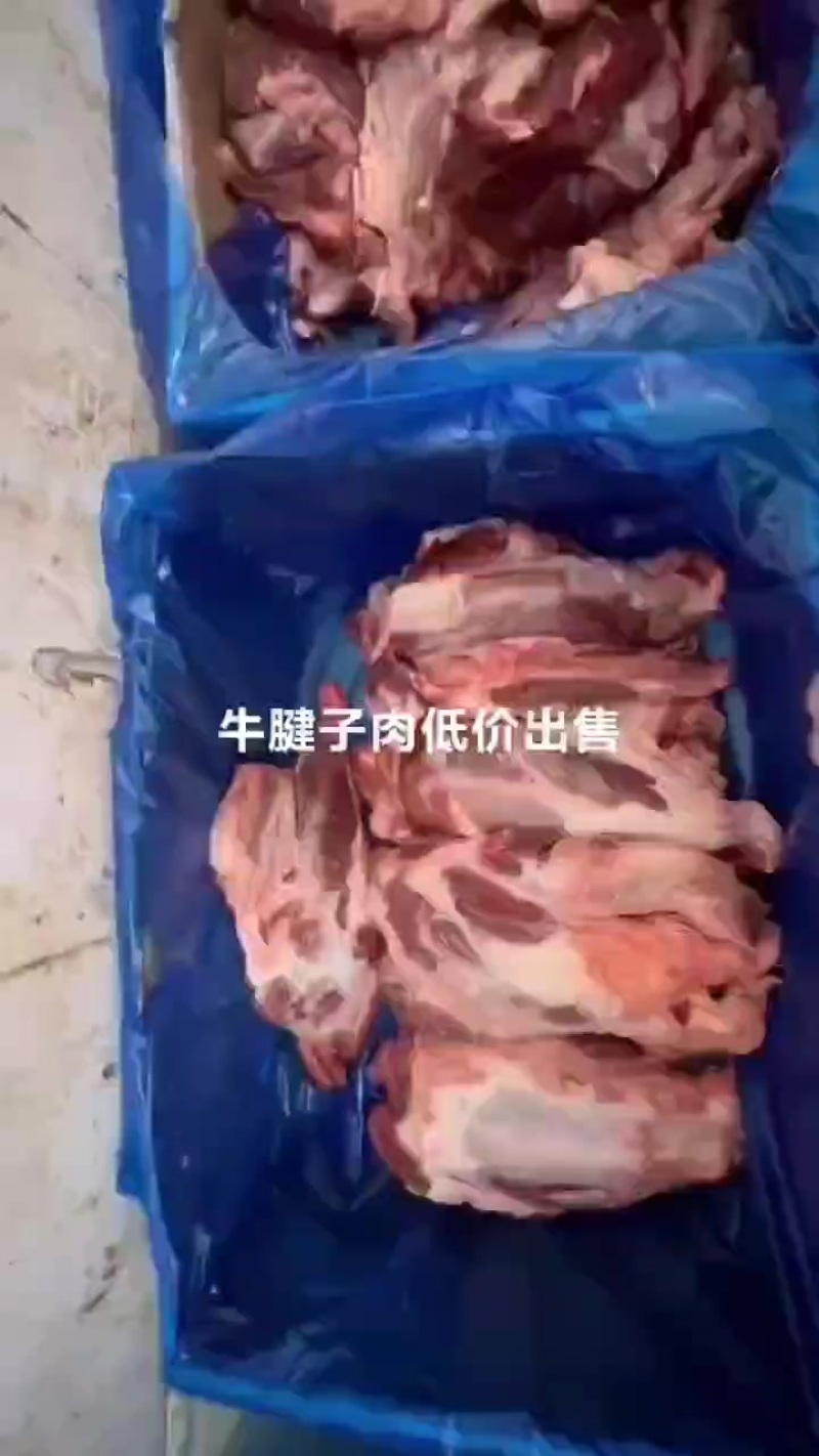 国产牛腱子一件50斤纯干质量好
