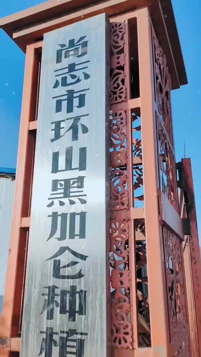 黑龙江省尚志市《环山黑加仑合作社》诚信经营二十年品质保证