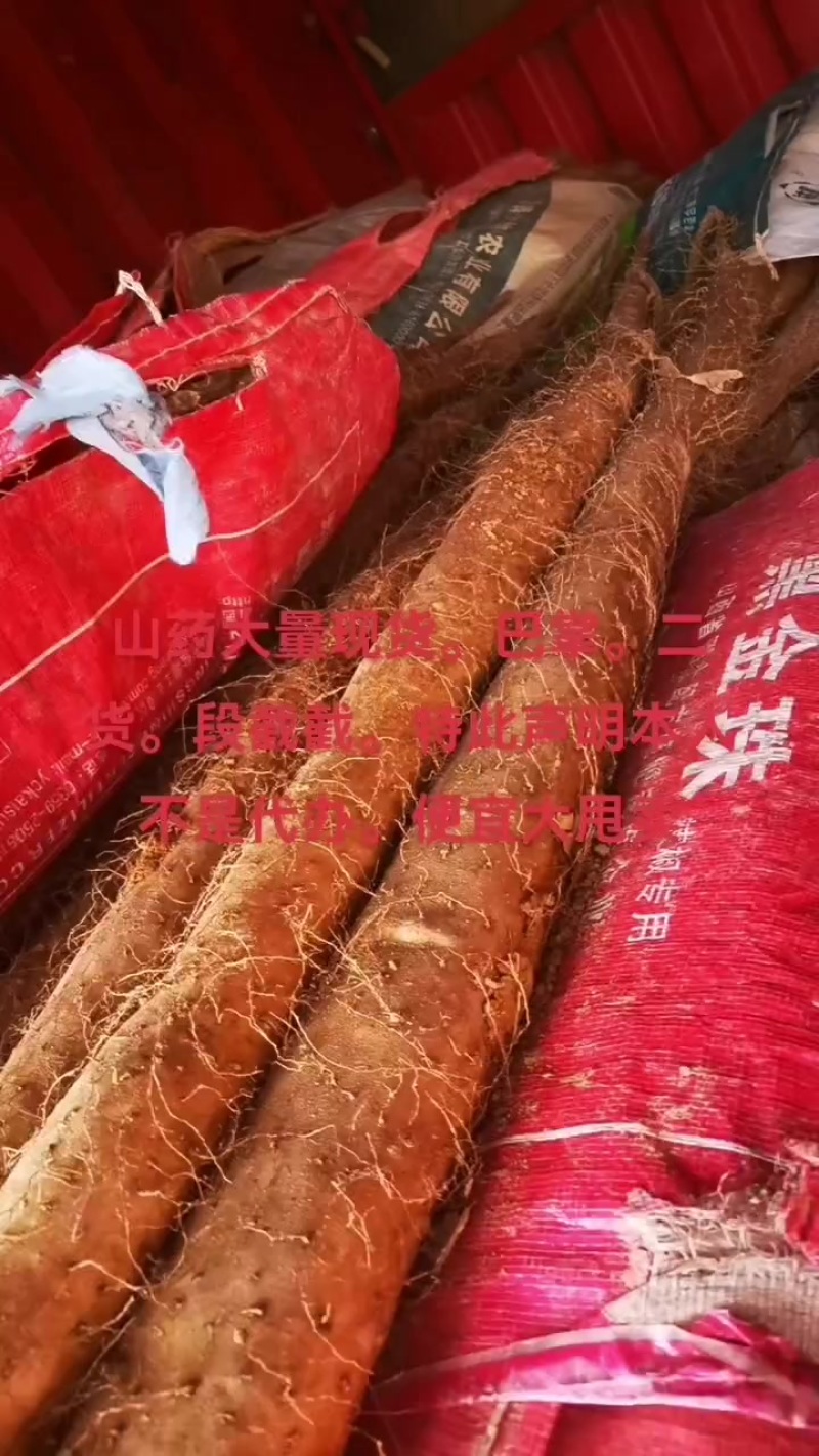 白玉山药大量现货。想要的速度联系。给钱就卖