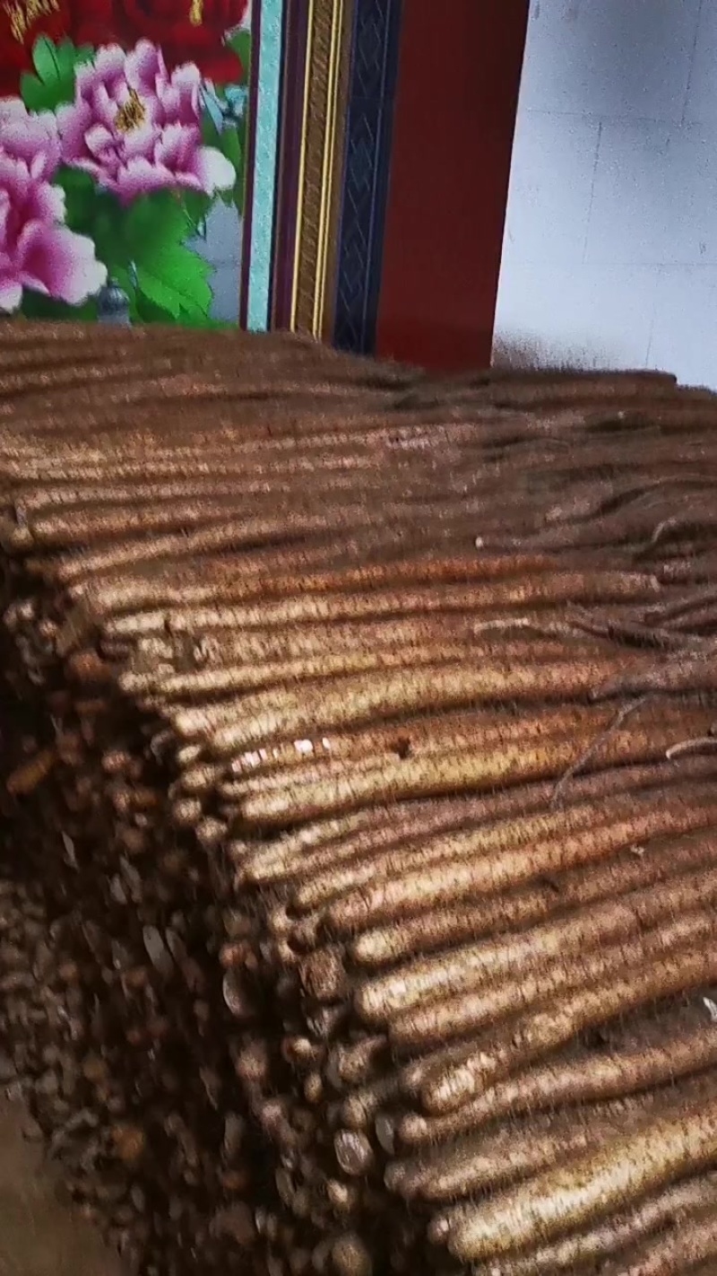 白玉山药大量现货。想要的速度联系。给钱就卖