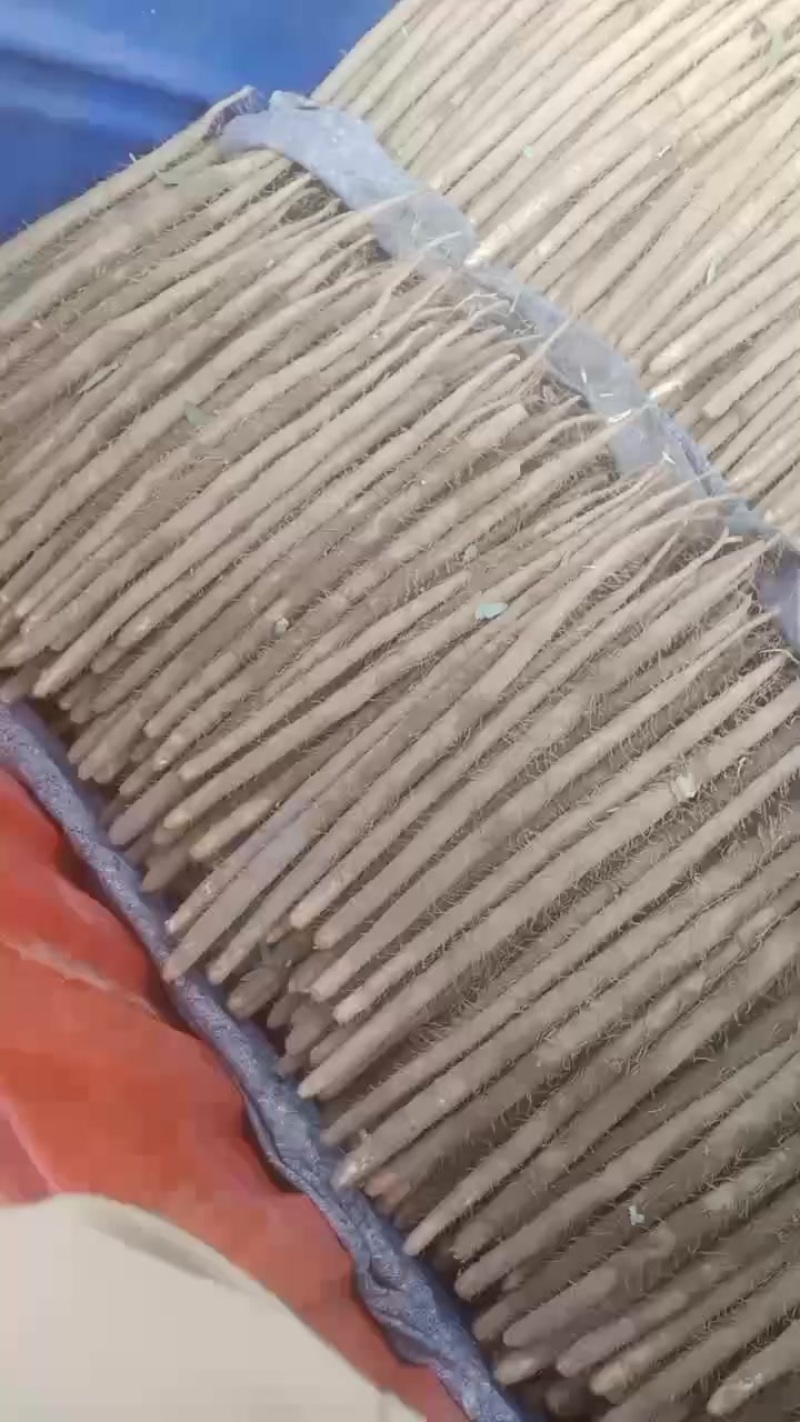 麻山药