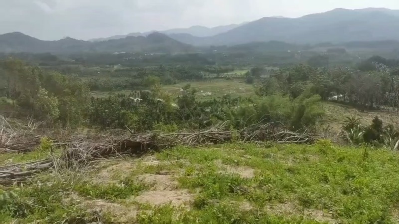 海南乐东优质种植用地出租