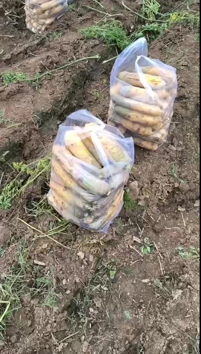 夏县特产