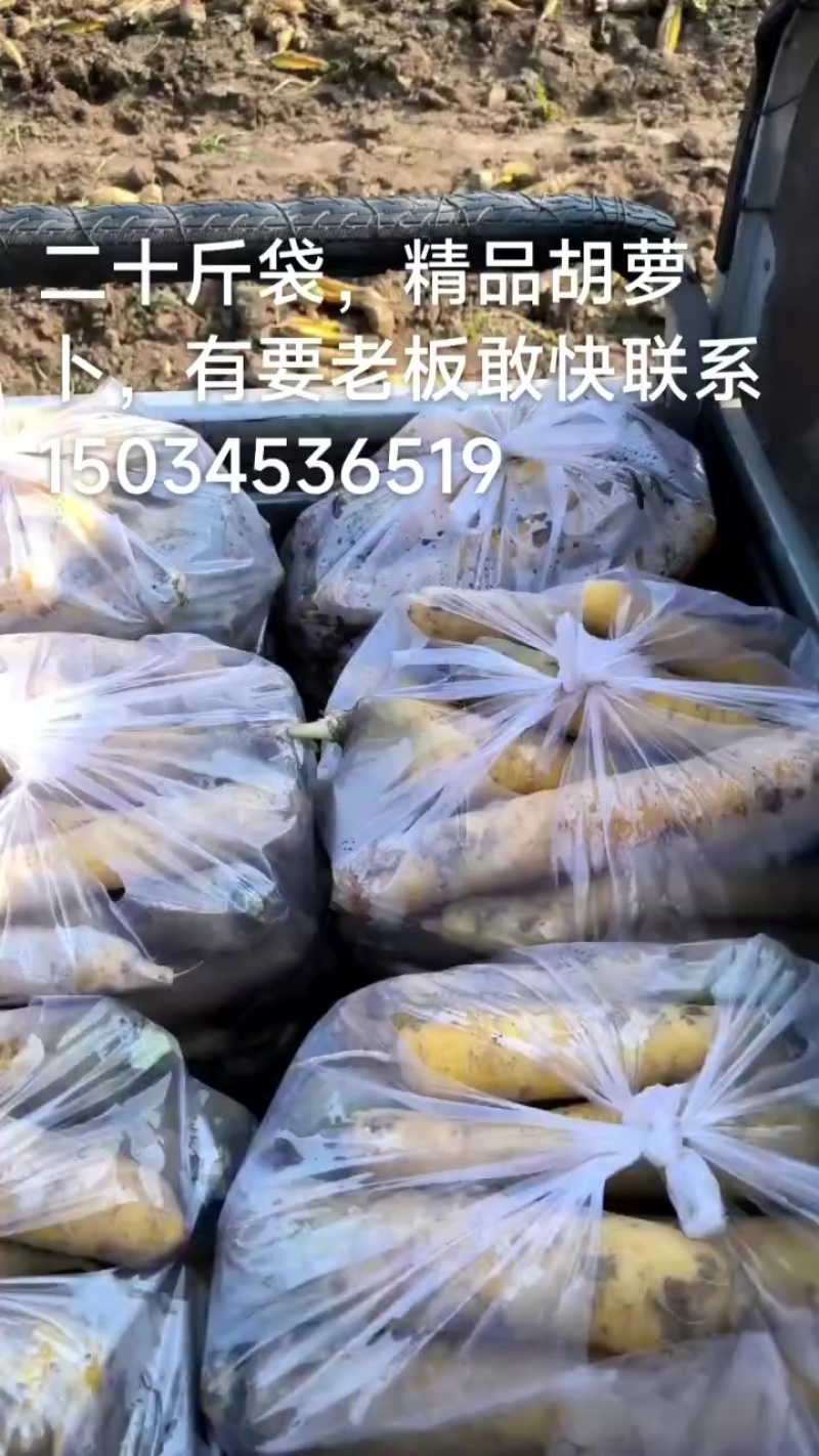 夏县特产