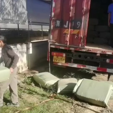 压缩稻壳到达广西卸货中