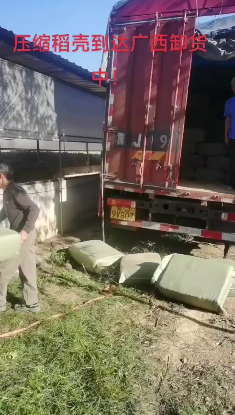压缩稻壳到达广西卸货中