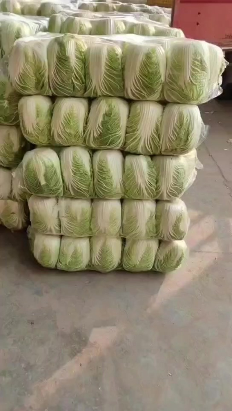 精品黄心白菜，矮棵，黄心，价格美丽，量大从优！