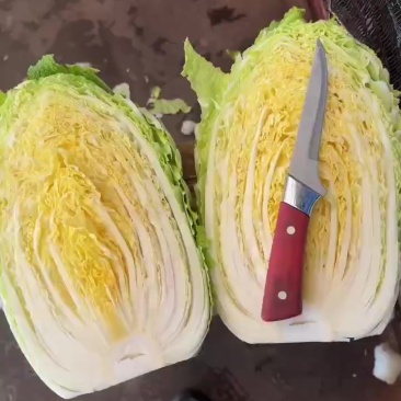 白菜