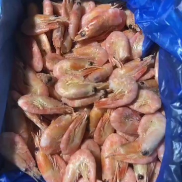 头籽北极虾甜虾小盒装