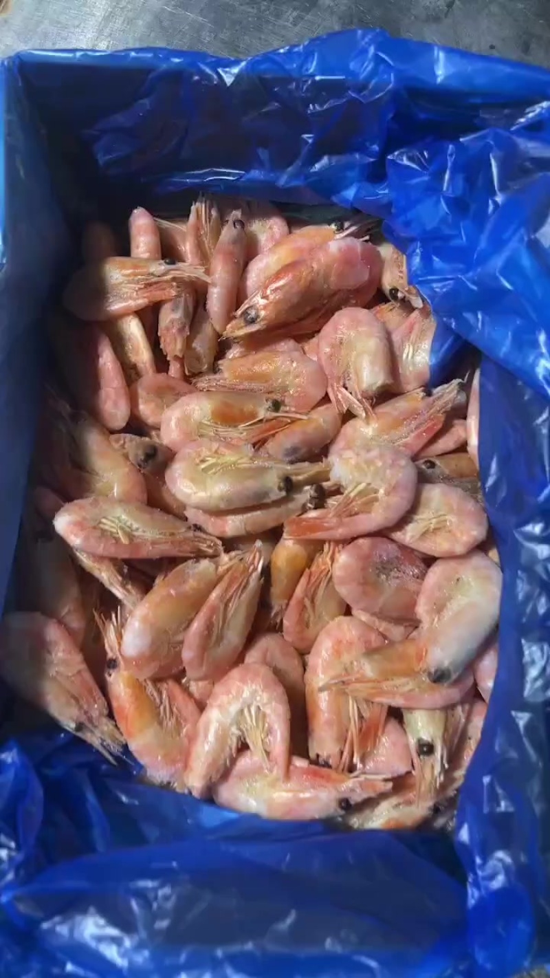 头籽北极虾甜虾小盒装
