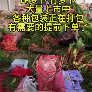 胡萝卜