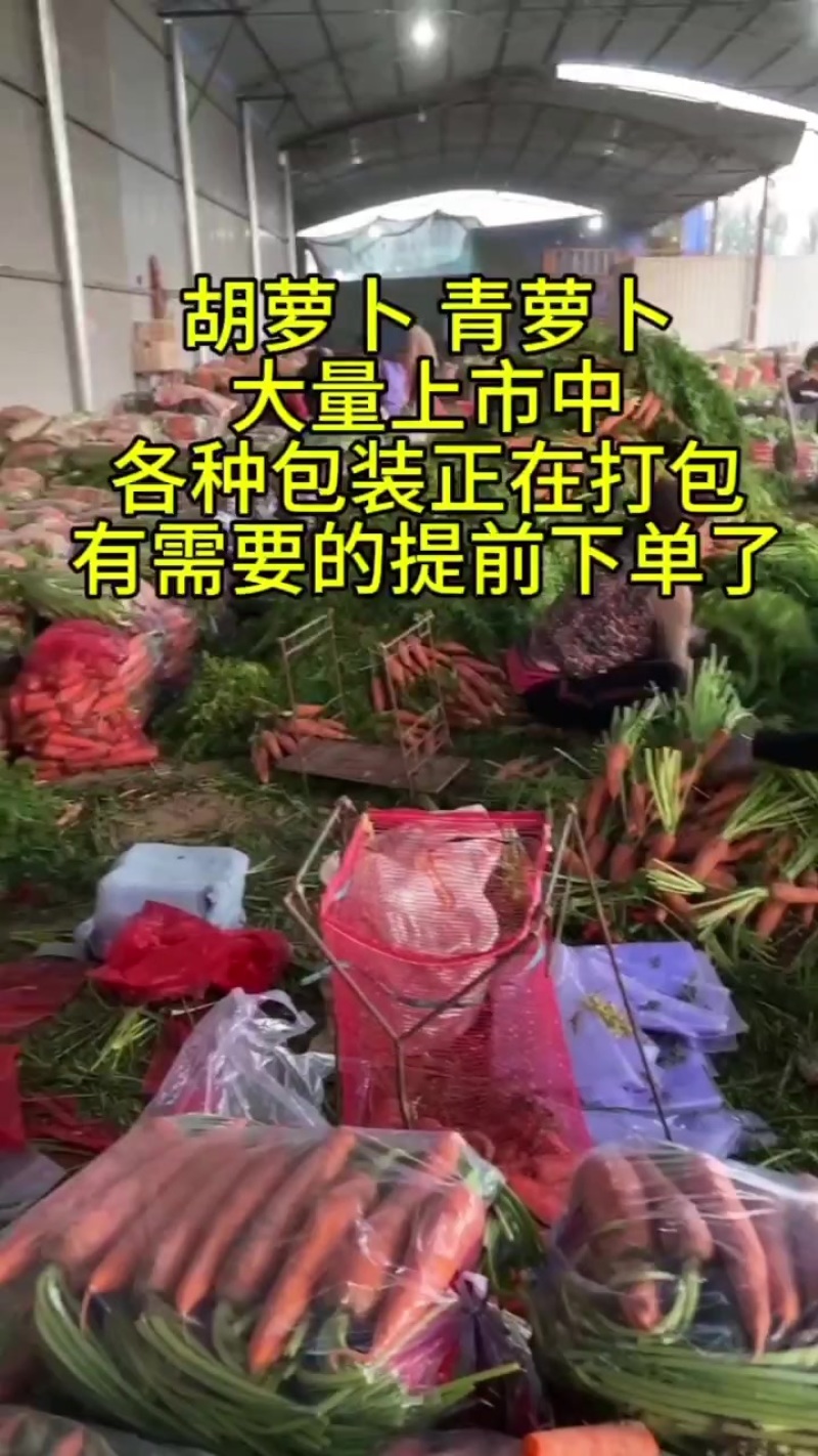 胡萝卜