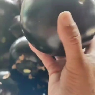 精品圆茄子大量有货,价格低质量好,对接全国批发市场超市等