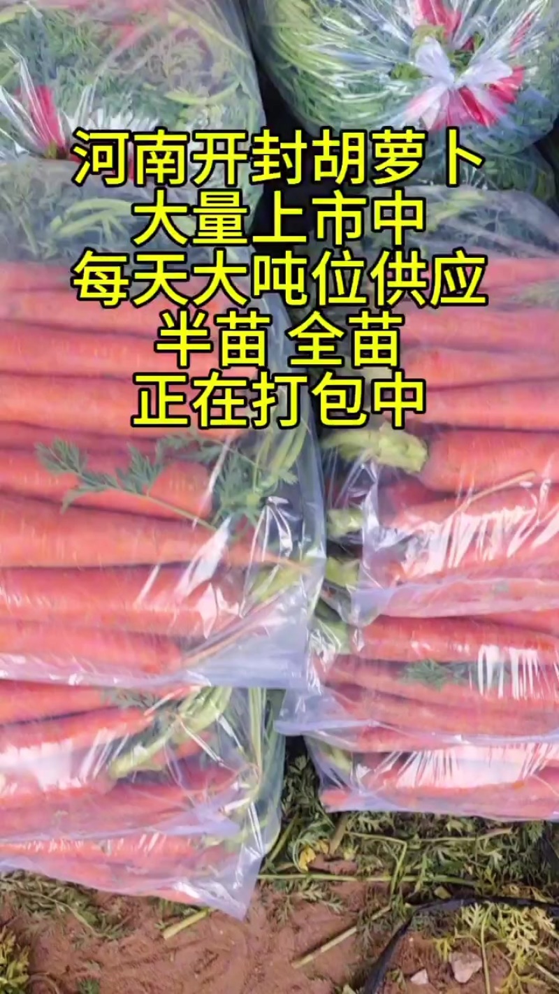 胡萝卜