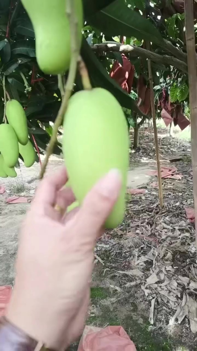 一级货