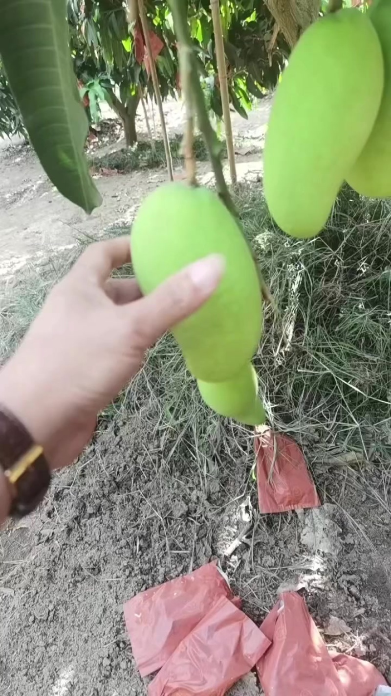 一级货