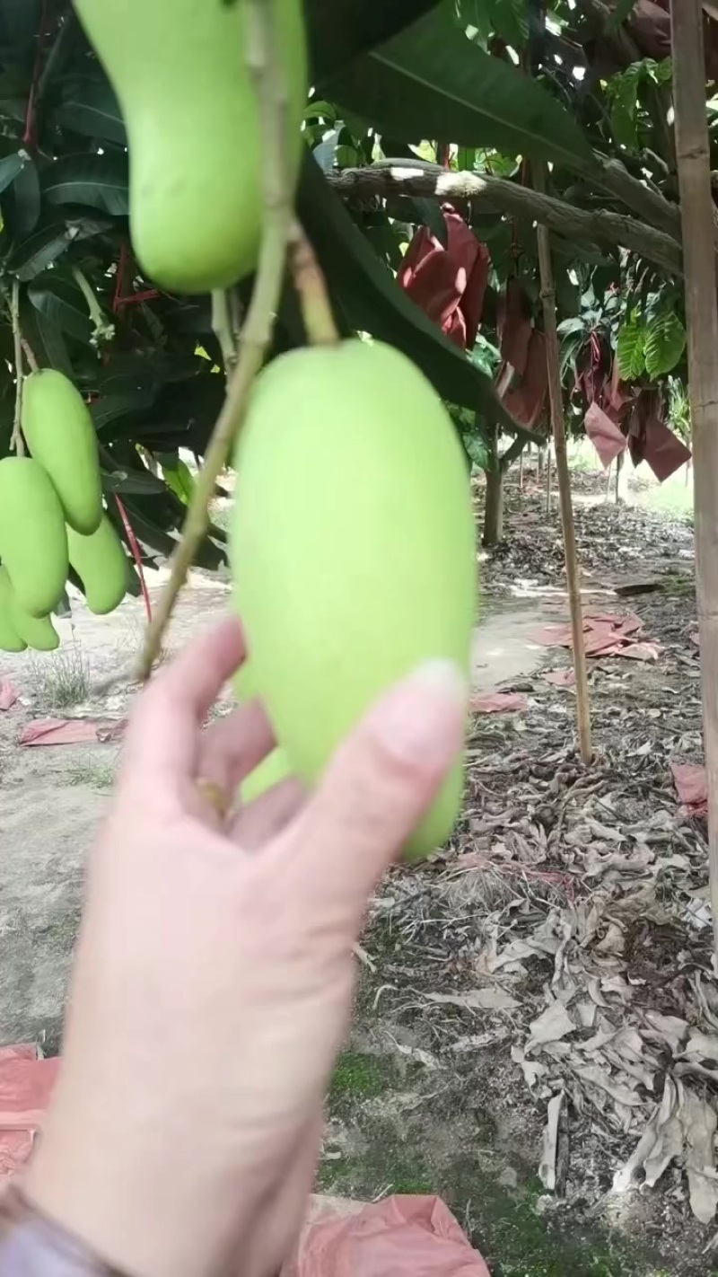 一级货
