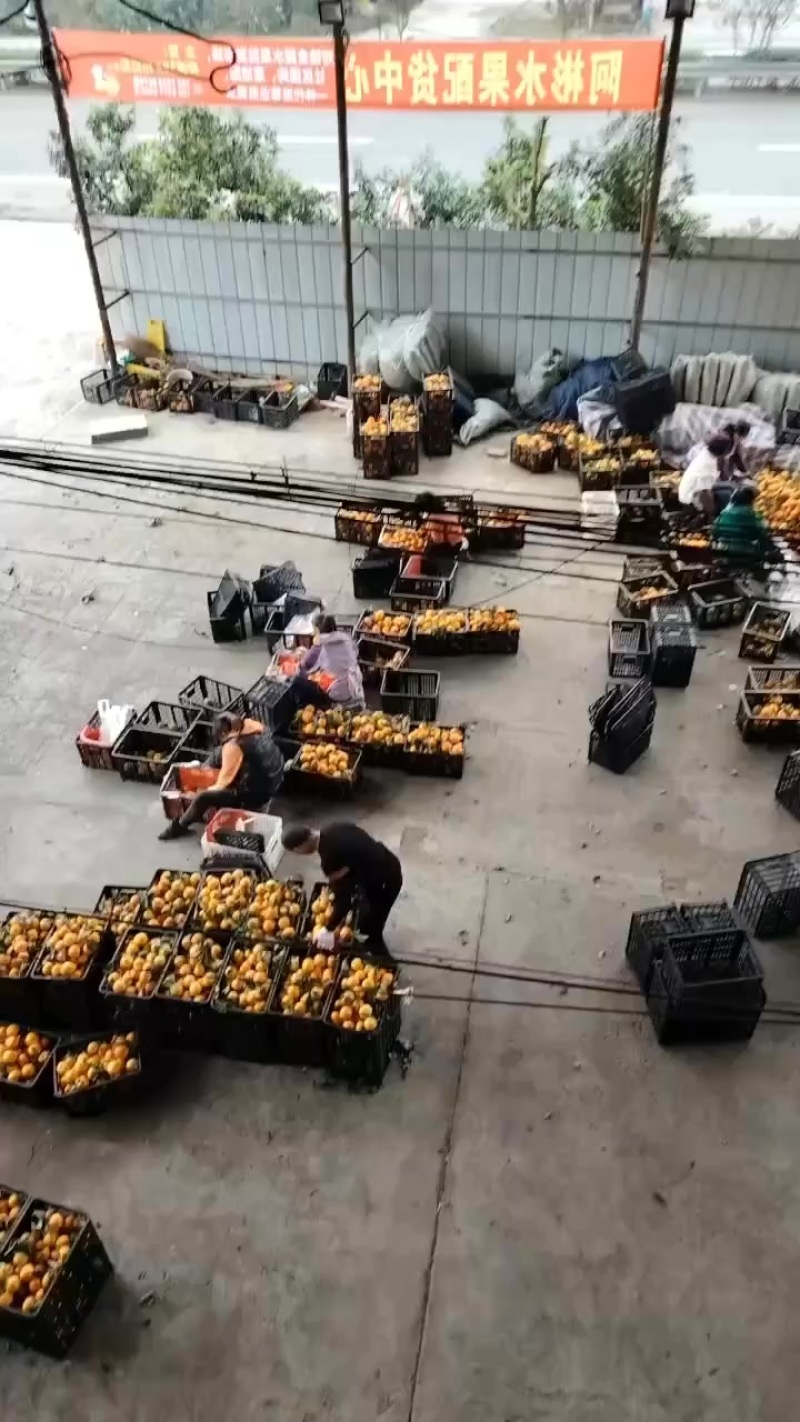 愛媛喜欢就来