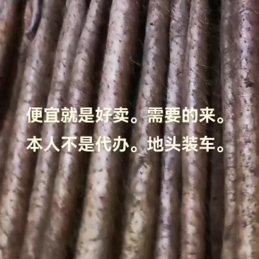 白玉山药通货二货佛手地头装车。