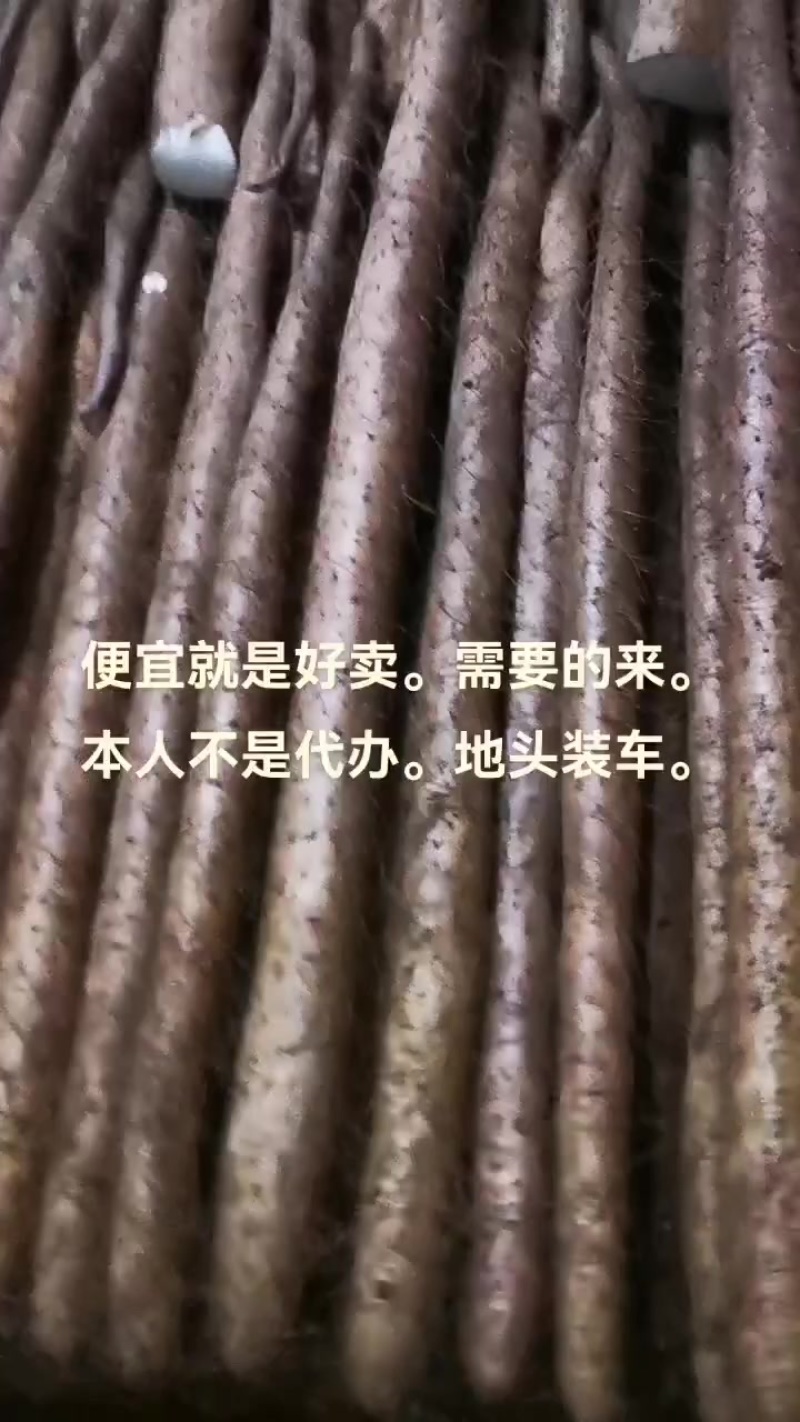 白玉山药通货二货佛手地头装车。