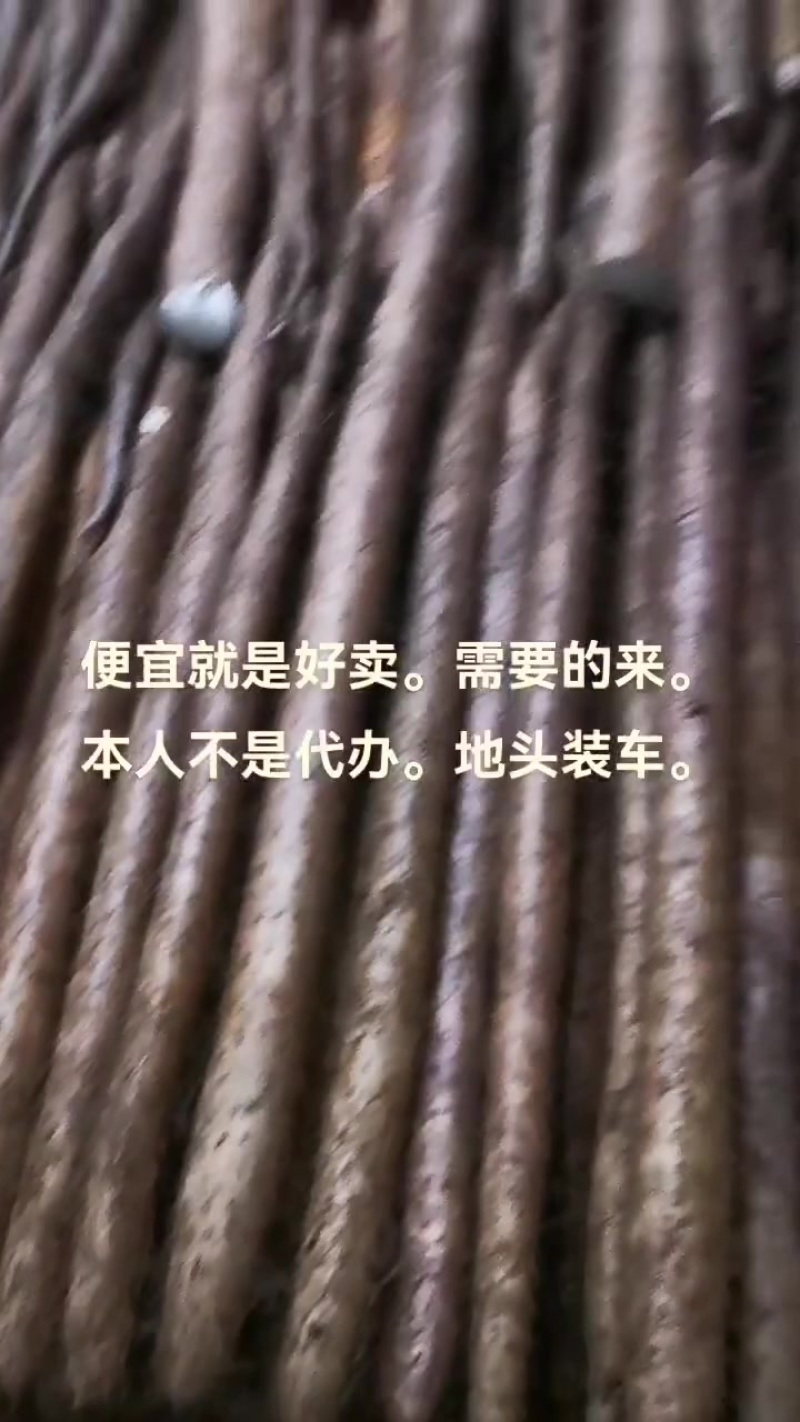 白玉山药通货二货佛手地头装车。