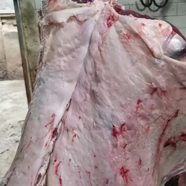 牛肉批发