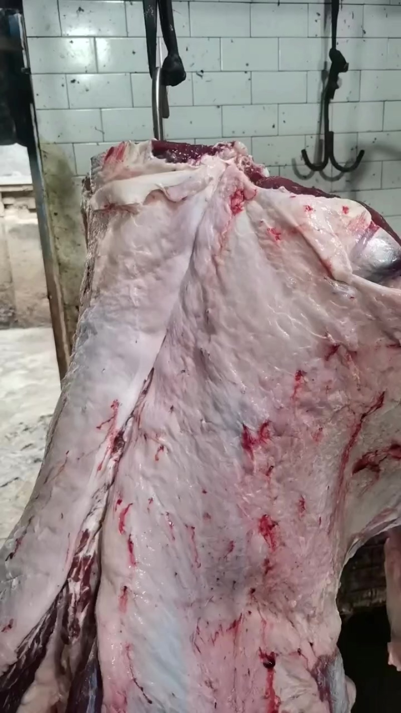 牛肉批发