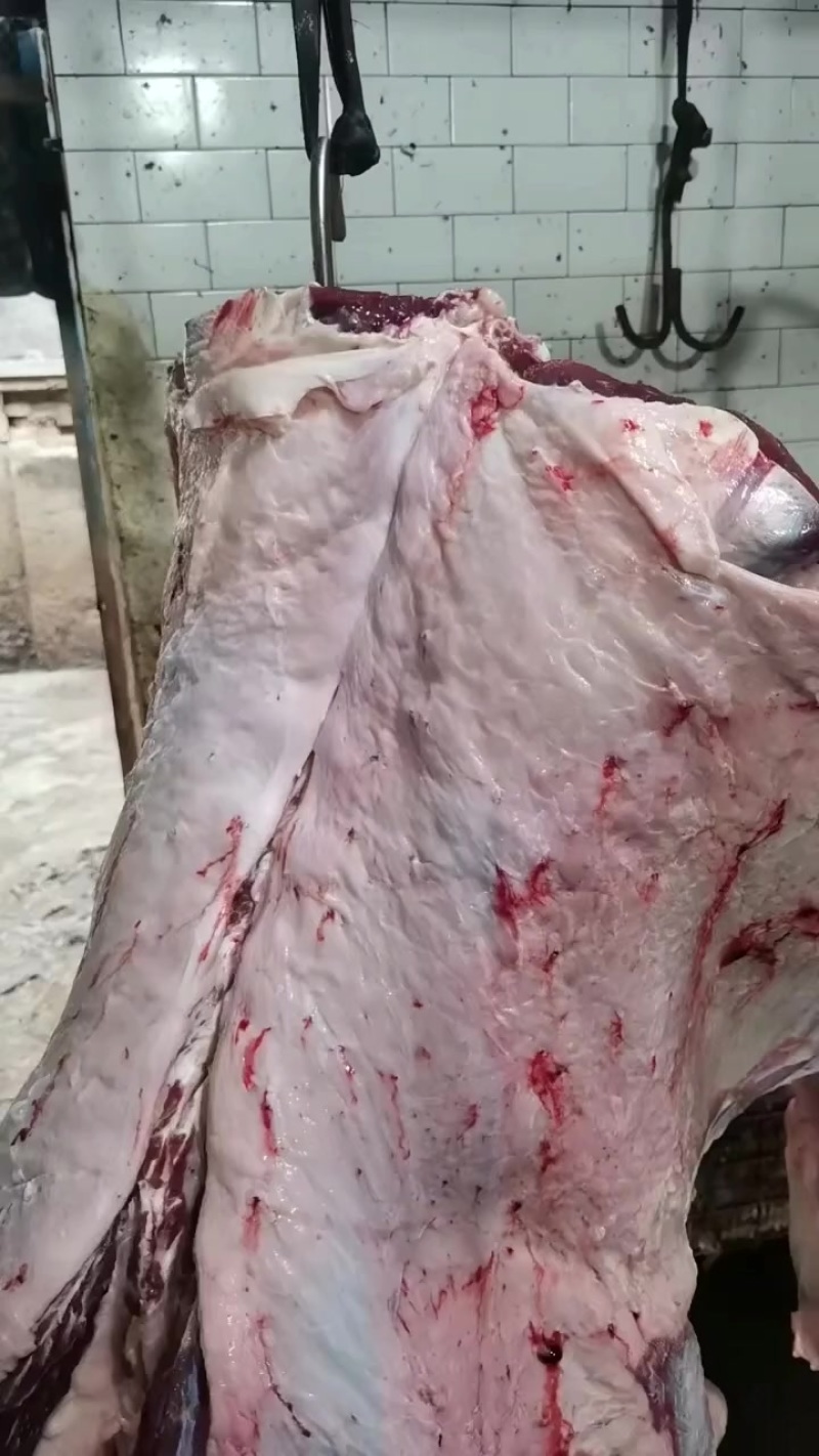 牛肉批发