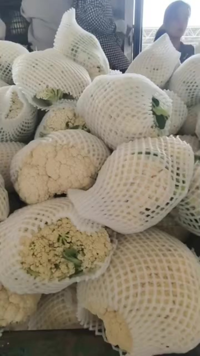 精品松花货源充足/大量供应各大市场批发市场超市/价格公道