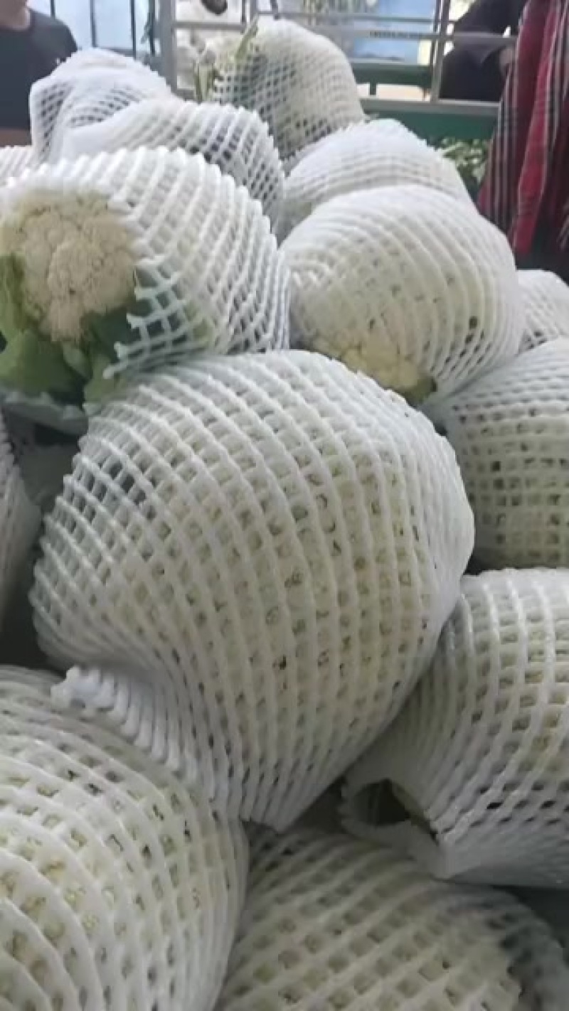 精品松花货源充足/大量供应各大市场批发市场超市/价格公道
