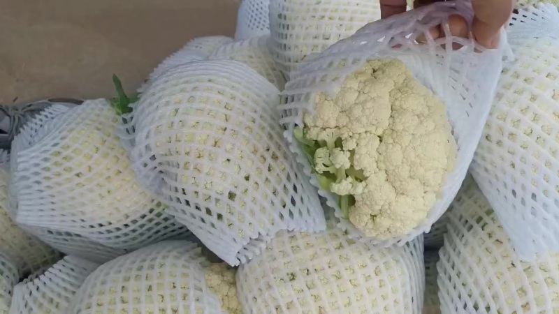 精品松花货源充足/大量供应各大市场批发市场超市/价格公道
