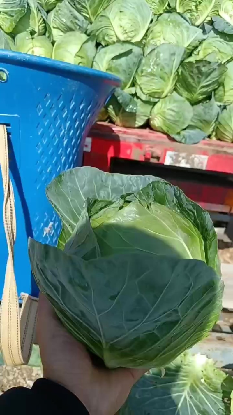 铁头电商货