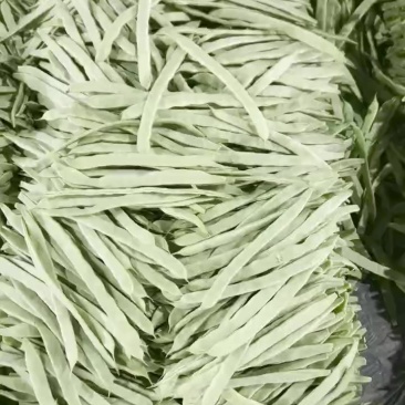 芸豆大量现货