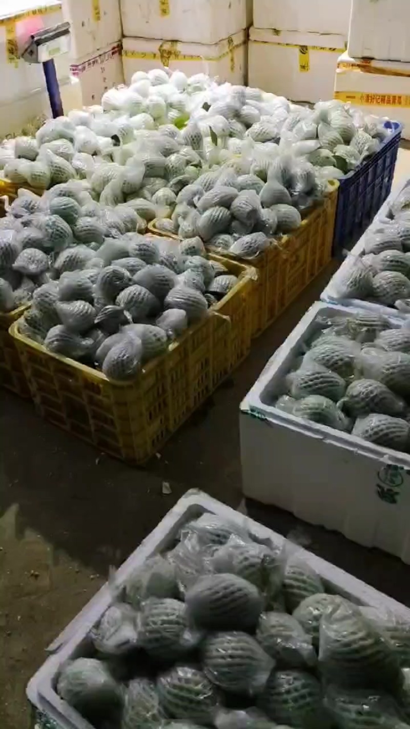 番石榴